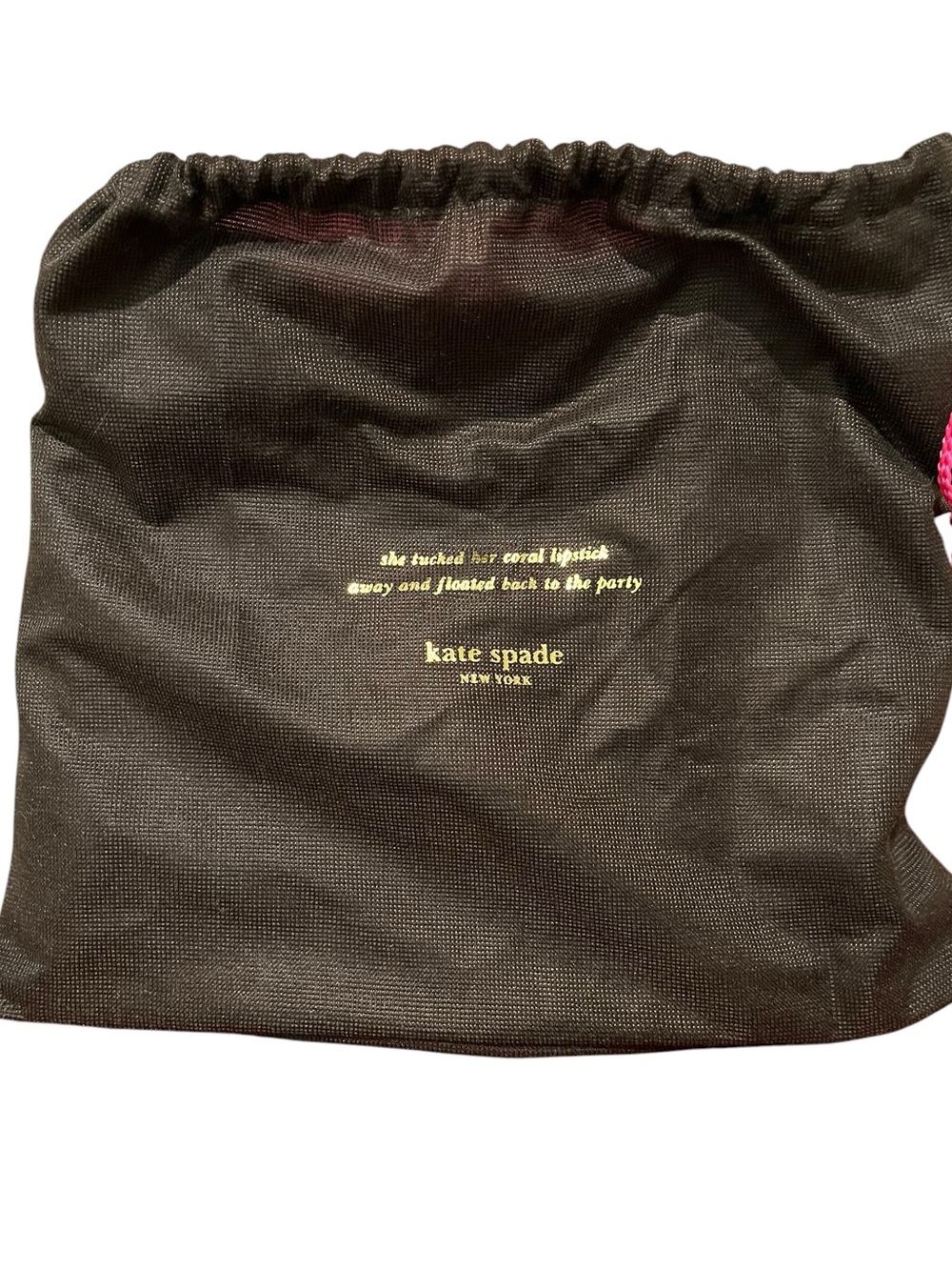RARE Kate Spade New York Meow Cat Large Zip Pouch & Dusty NWT - Picture 9 of 9